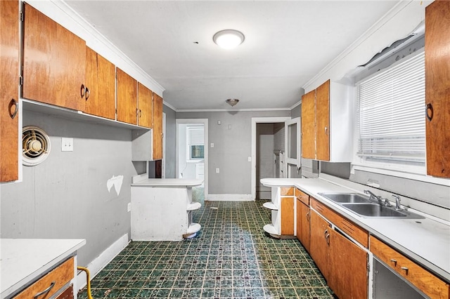 kitchen featuring sink and crown molding