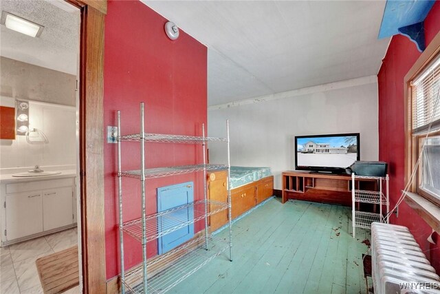 interior space featuring sink and radiator