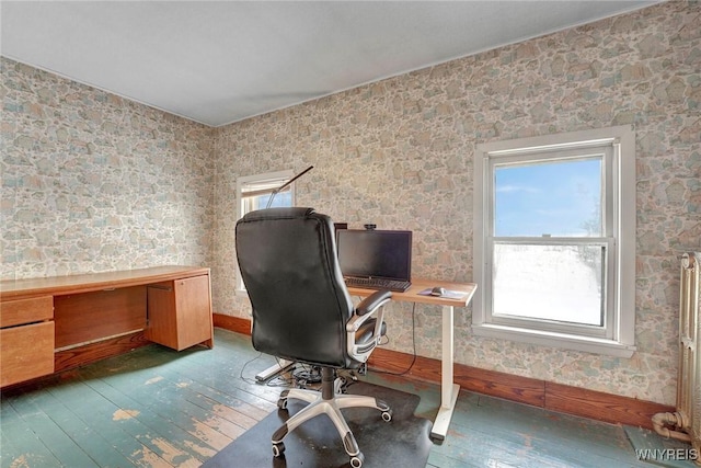 office featuring dark hardwood / wood-style floors