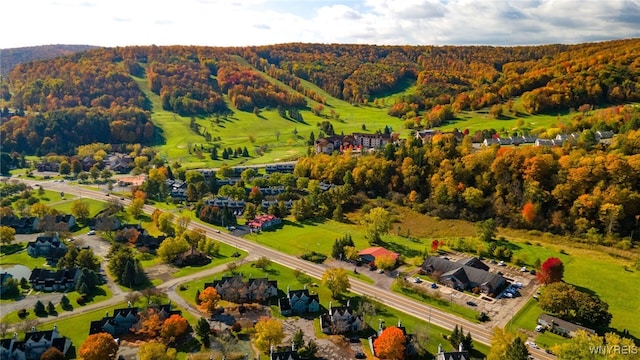 aerial view