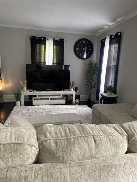 living room featuring ornamental molding and hardwood / wood-style flooring