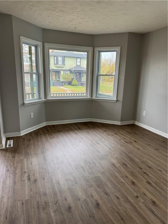 empty room with a textured ceiling, a wealth of natural light, and dark hardwood / wood-style flooring