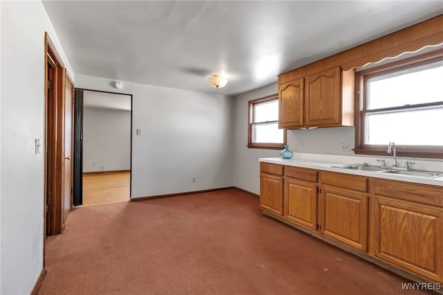 kitchen with carpet flooring, plenty of natural light, and sink