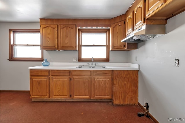 kitchen with a healthy amount of sunlight, dark carpet, and sink