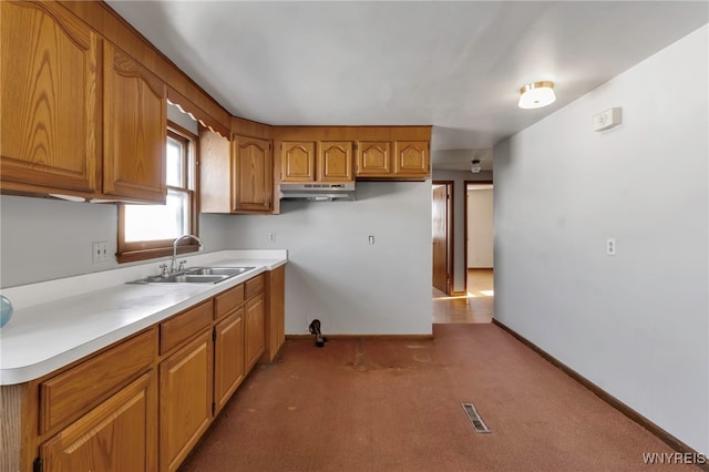 kitchen with sink and dark colored carpet