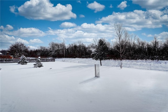 view of yard layered in snow