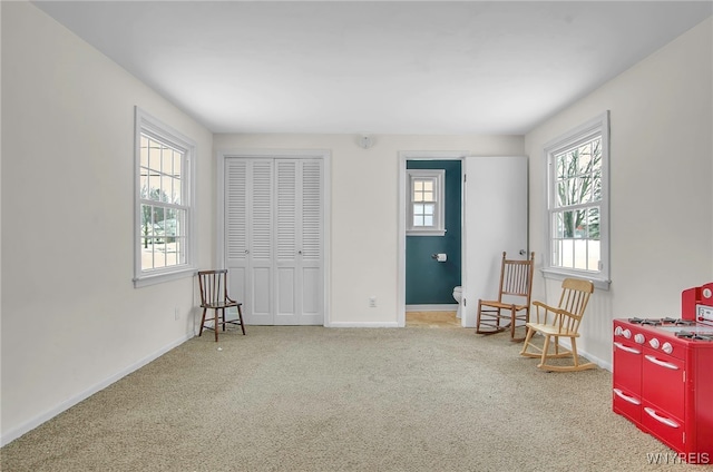 sitting room featuring carpet flooring