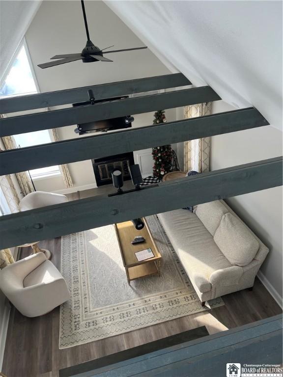 living room with ceiling fan and hardwood / wood-style flooring