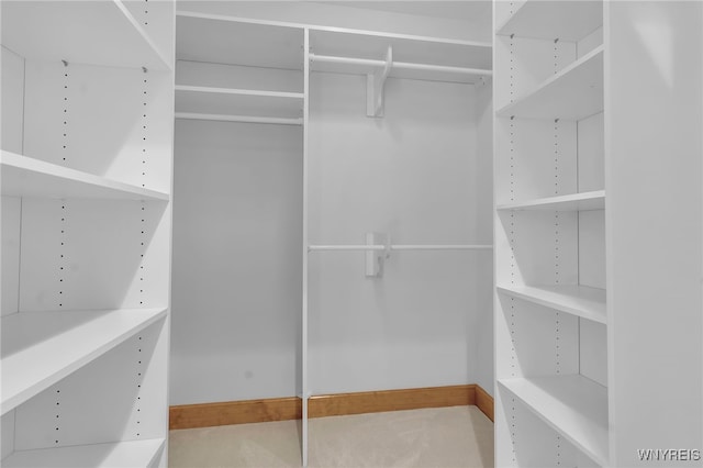 view of walk in closet