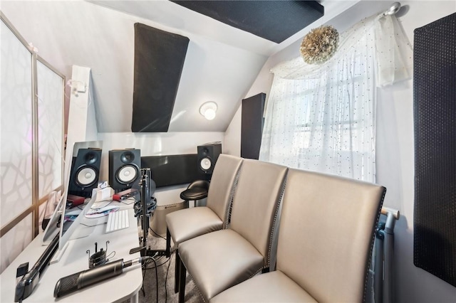 home theater featuring radiator heating unit and lofted ceiling