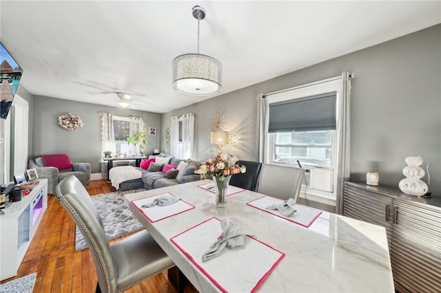 dining area featuring ceiling fan, plenty of natural light, and dark hardwood / wood-style flooring