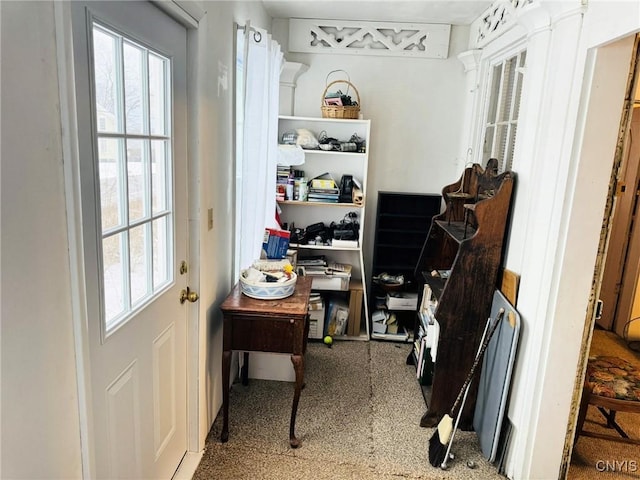 walk in closet with carpet