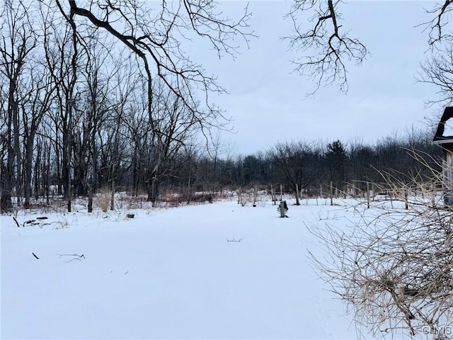 view of yard covered in snow