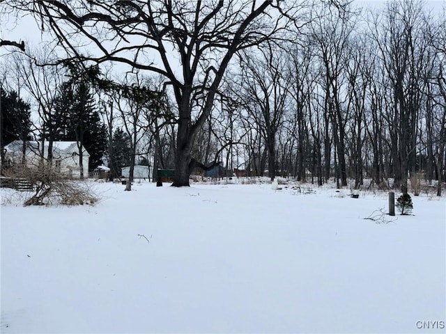 view of snowy yard