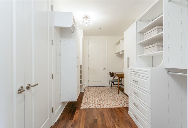 walk in closet featuring dark wood-type flooring