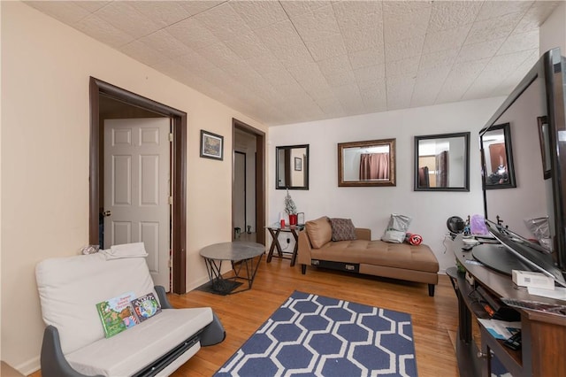 sitting room with wood-type flooring