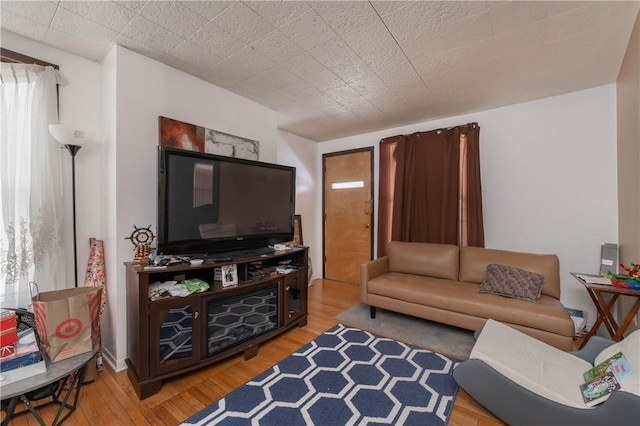 living room with light hardwood / wood-style floors