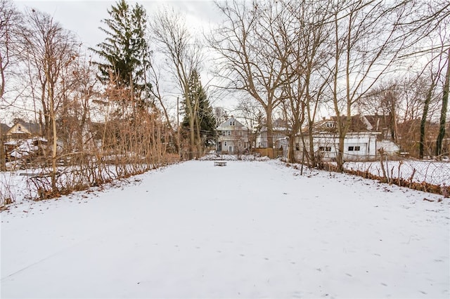 view of yard covered in snow