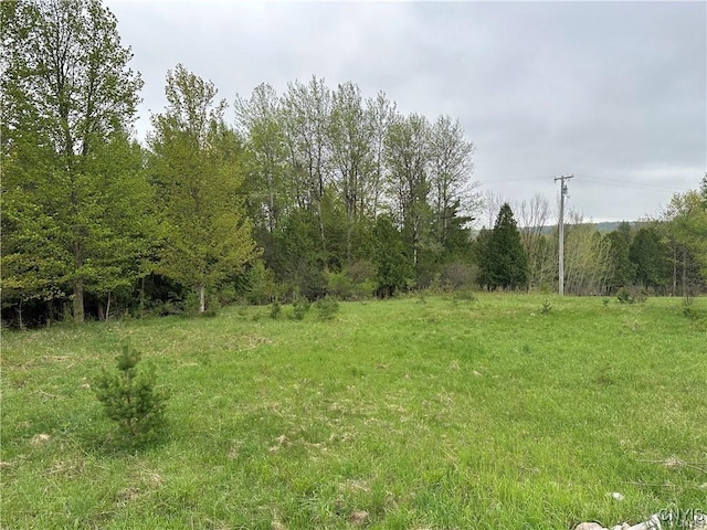 LOT2B Nys Route 126, Champion NY, 13619 land for sale