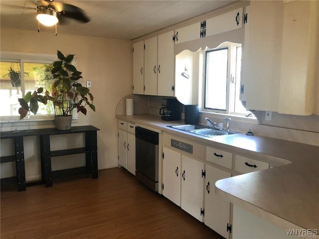 kitchen featuring dark wood-type flooring, white cabinetry, sink, ceiling fan, and stainless steel dishwasher