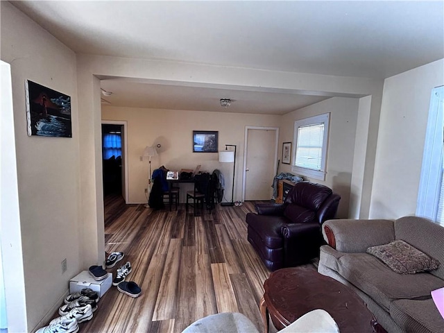 living room featuring hardwood / wood-style flooring