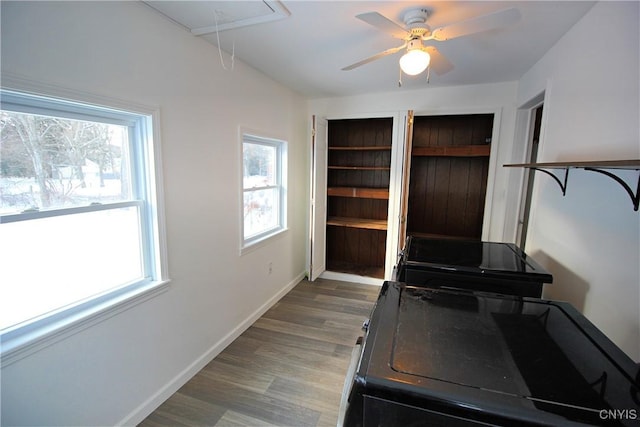 exercise room featuring ceiling fan and wood-type flooring