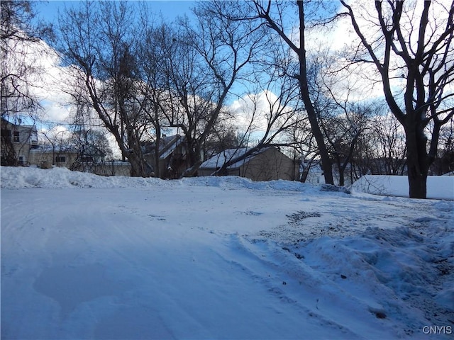 view of yard layered in snow