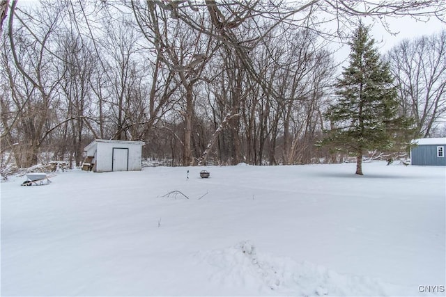 yard covered in snow featuring a shed