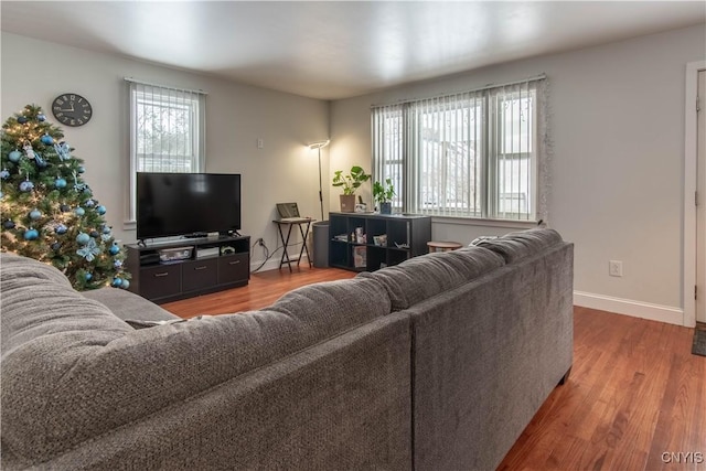 living room with hardwood / wood-style floors