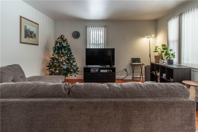 living room featuring hardwood / wood-style flooring