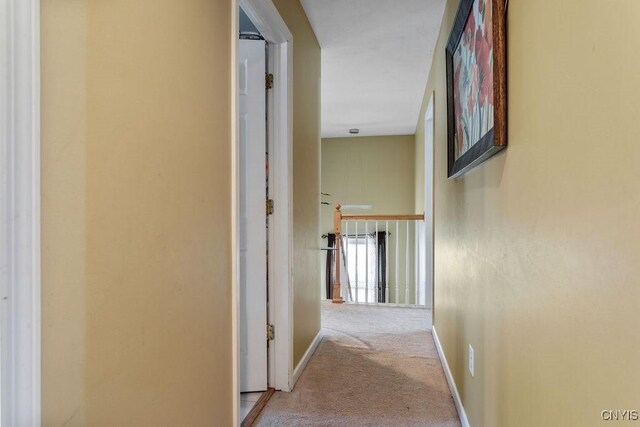 hall with light colored carpet