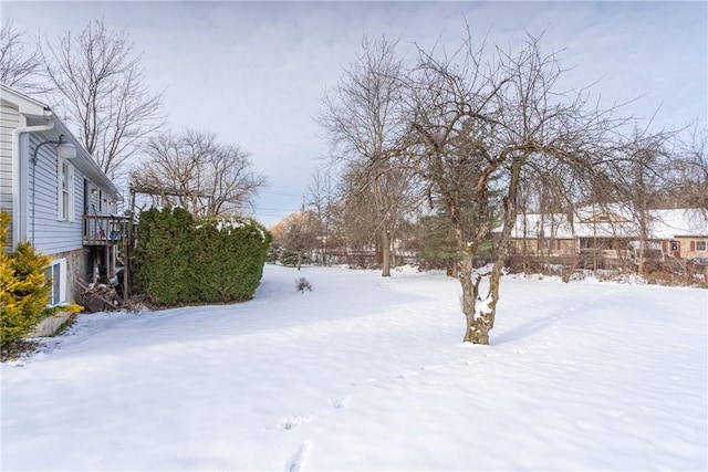 view of snowy yard