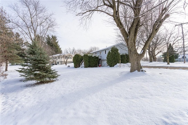 view of yard covered in snow