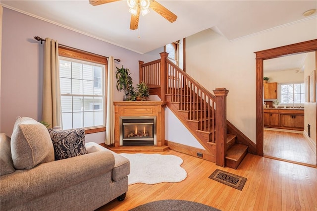 living room with crown molding, light hardwood / wood-style flooring, and ceiling fan