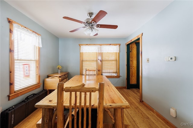 dining room with ceiling fan and light hardwood / wood-style flooring