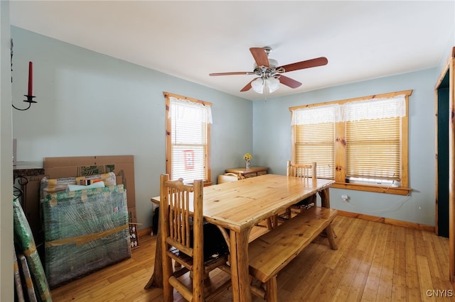 dining room with ceiling fan and light hardwood / wood-style floors