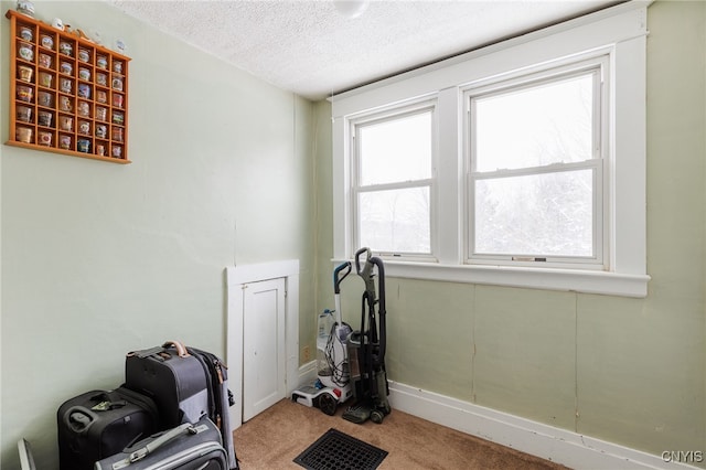 workout room with light colored carpet and a textured ceiling