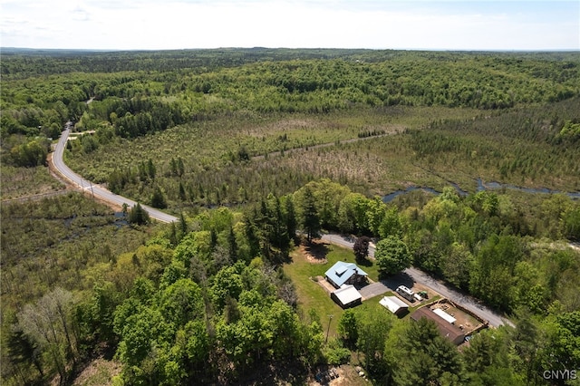 bird's eye view