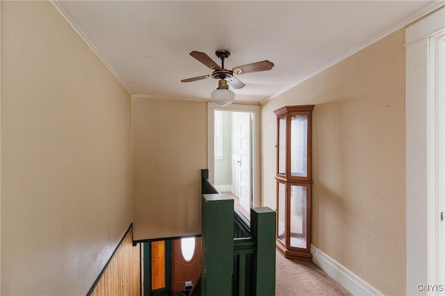 stairway featuring ceiling fan, crown molding, and carpet floors