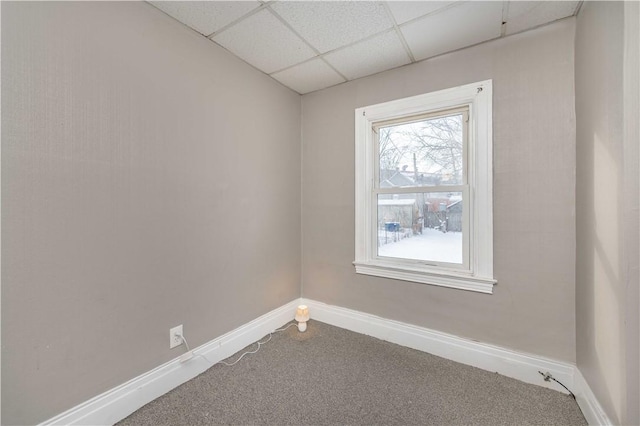 empty room featuring a wealth of natural light, a paneled ceiling, and carpet flooring