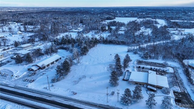 VL Transit Road, Elma, NY 14059 - photo 21