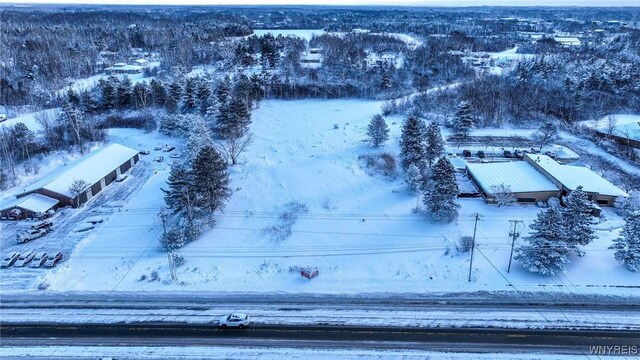 VL Transit Road, Elma, NY 14059 - photo 22