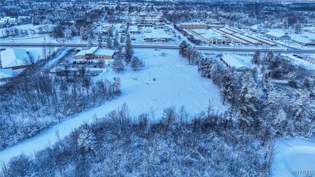 VL Transit Road, Elma, NY 14059 - photo 27