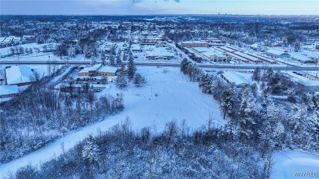 VL Transit Road, Elma, NY 14059 - photo 28