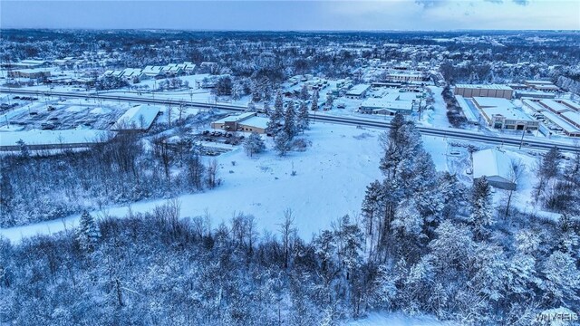 VL Transit Road, Elma, NY 14059 - photo 29