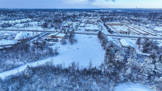 VL Transit Road, Elma, NY 14059 - photo 30