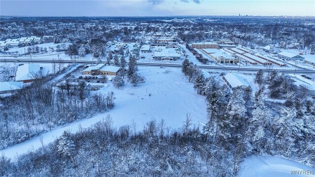 VL Transit Road, Elma, NY 14059 - photo 31