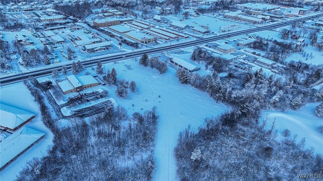 VL Transit Road, Elma, NY 14059 - photo 11
