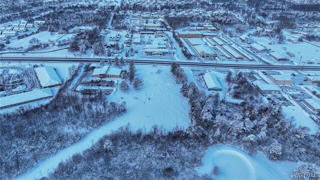 VL Transit Road, Elma, NY 14059 - photo 12