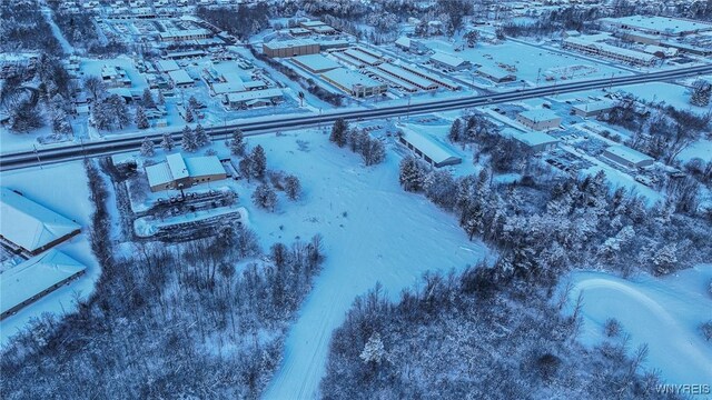 VL Transit Road, Elma, NY 14059 - photo 13